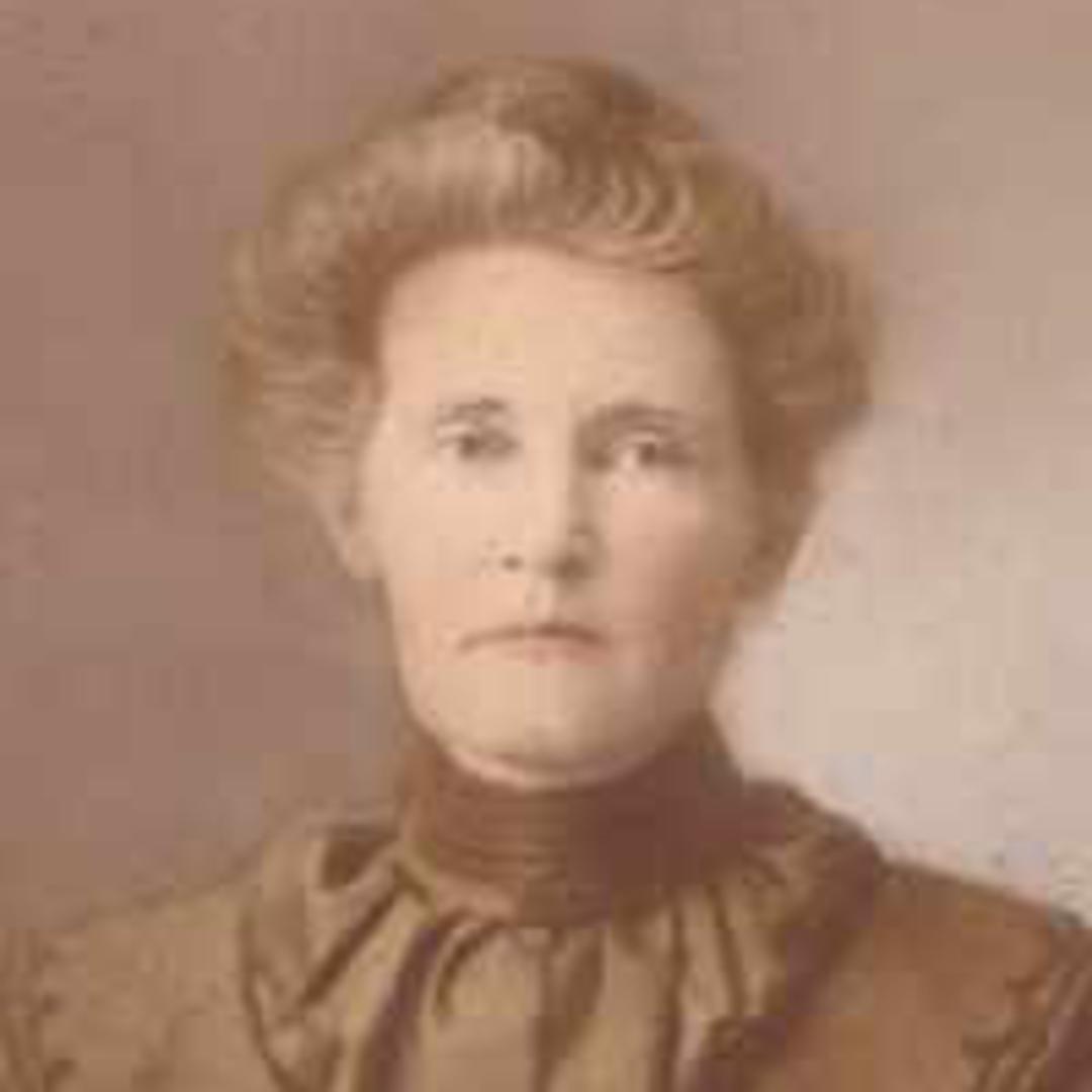 Sarah Agnes Davis (1852 - 1922) Profile